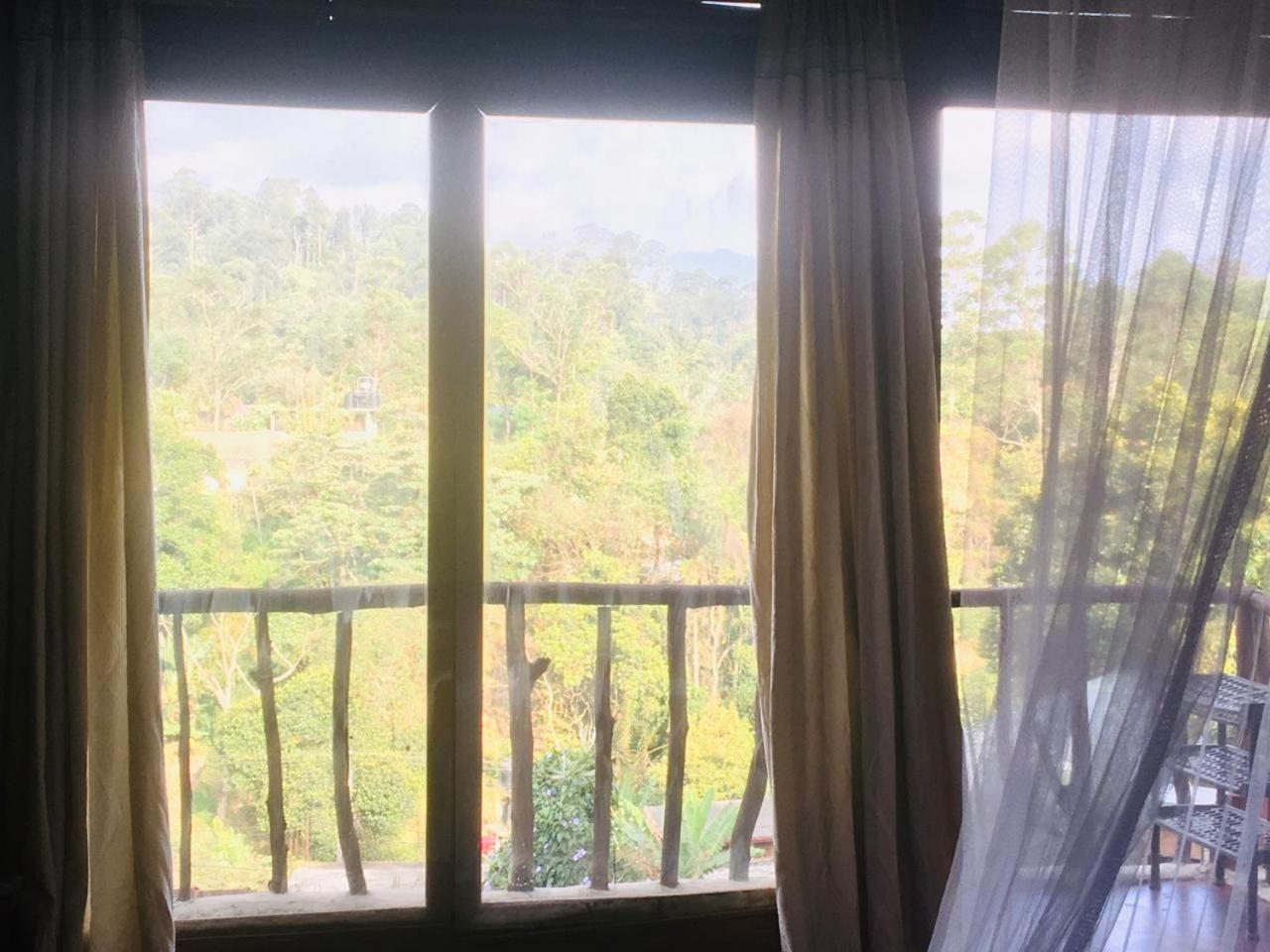 Ella City Reach Hostel 部屋 写真